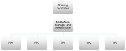 Organisation
